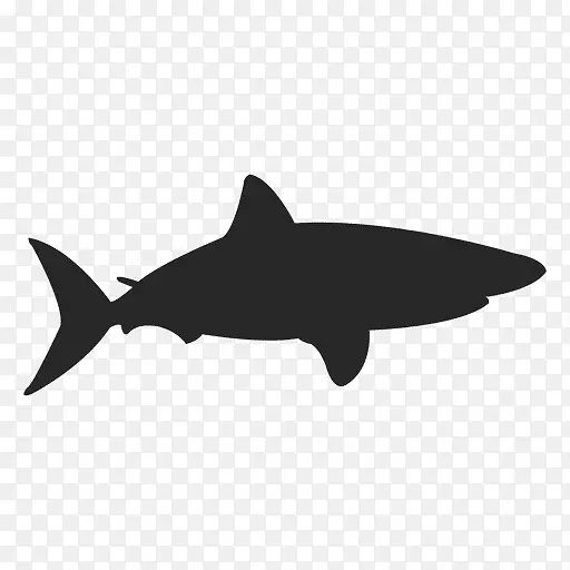 海龟鲨水生动物轮廓-鲨鱼