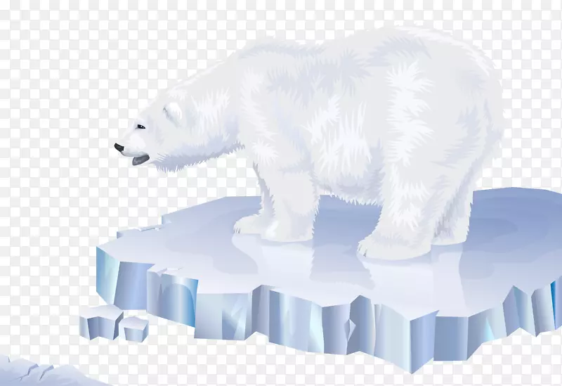 北极熊北极洛斯奥索斯北极熊