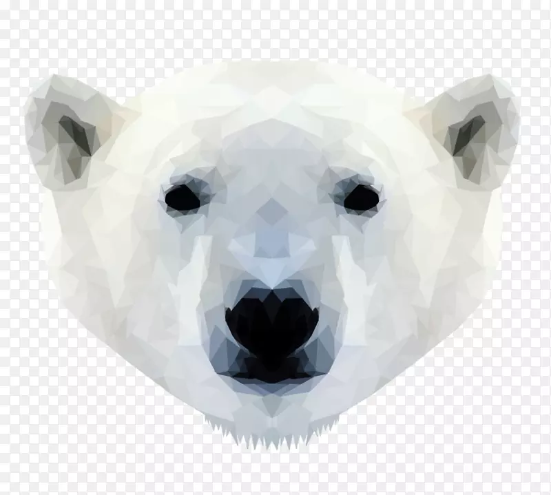 北极熊海象猫虎北极熊