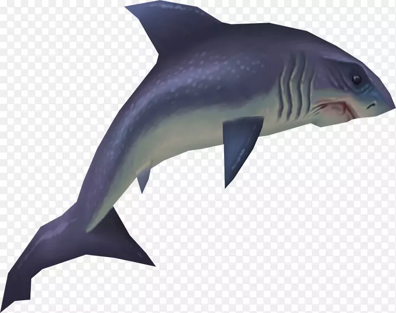 饥饿的鲨鱼进化鱼类大白鲨虎鲨-鲨鱼