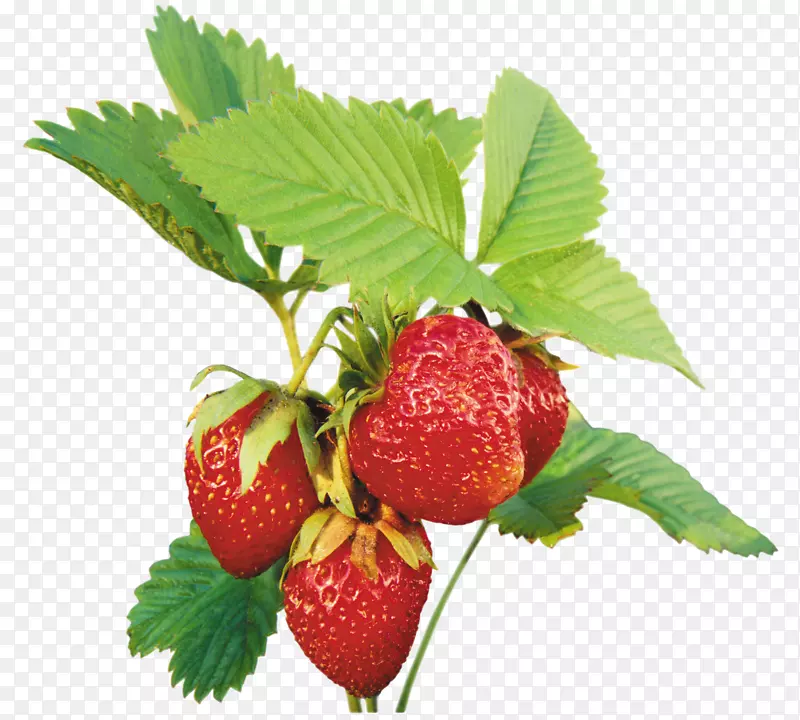 麝香草莓剪贴画-草莓
