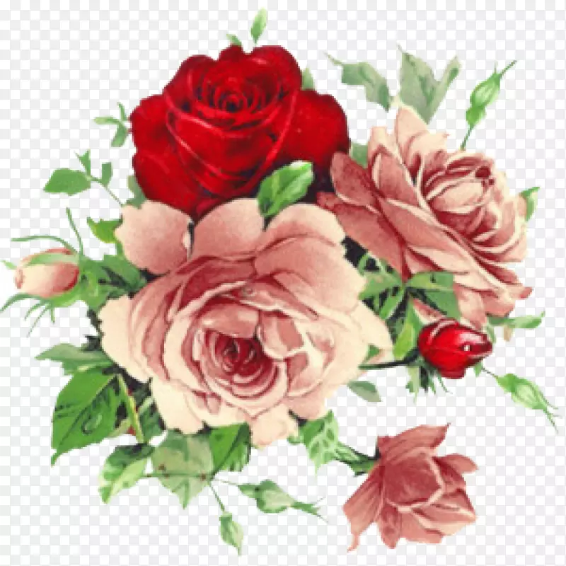 古典玫瑰：家居及花园花卉剪贴画的美丽品种-宴会。