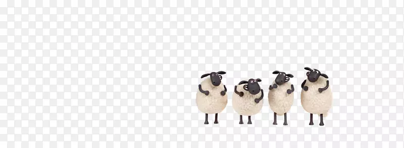 羊，山羊，家畜，动物鞋，羊
