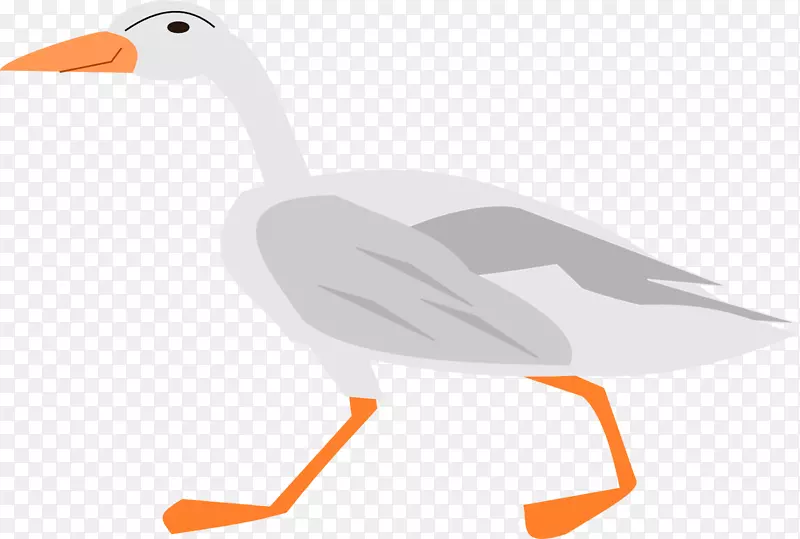 鸭鹅水鸟脊椎动物-鹅
