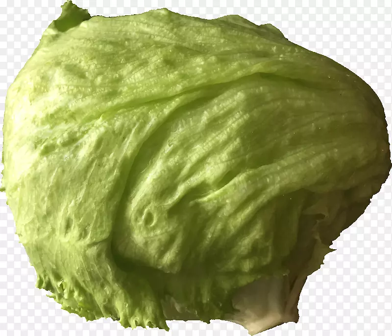 冰山莴苣三明治沙拉蔬菜夹艺术