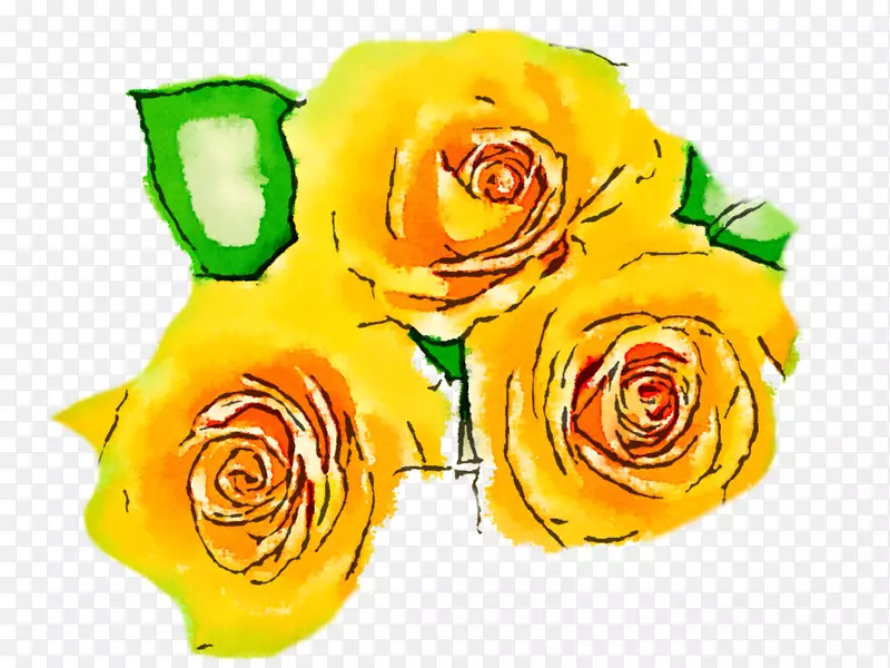 花黄色花园玫瑰水彩画