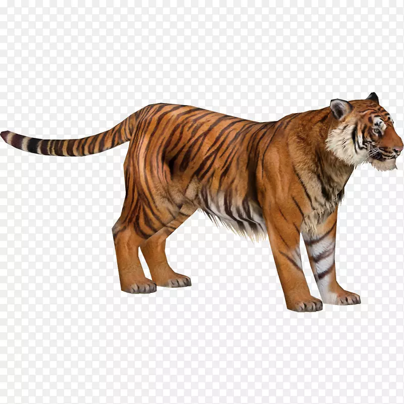 动物园大亨2华南虎西伯利亚虎马来亚虎苏门答腊虎