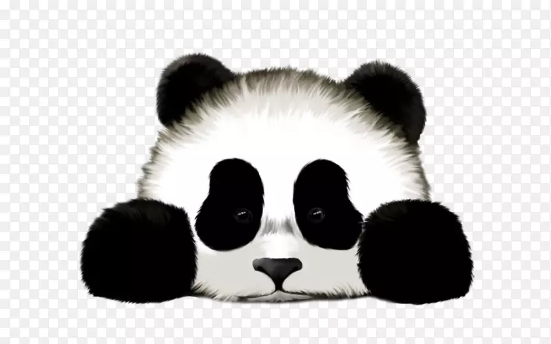 大熊猫红色熊猫t恤可爱画-熊猫