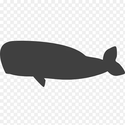 电脑图标字火花六块拼图鲸濒危物种鲸鱼