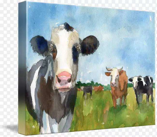 牛水彩：动物水彩画羊水彩动物