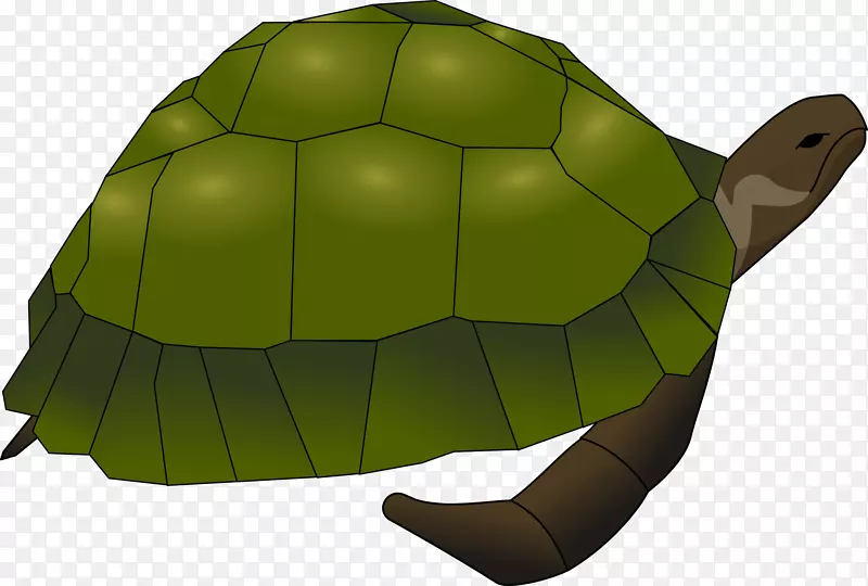 海龟剪贴画
