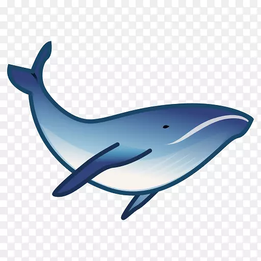 海豚甲壳动物蓝鲸表情鲸