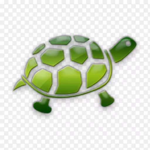绿海龟爬行动物