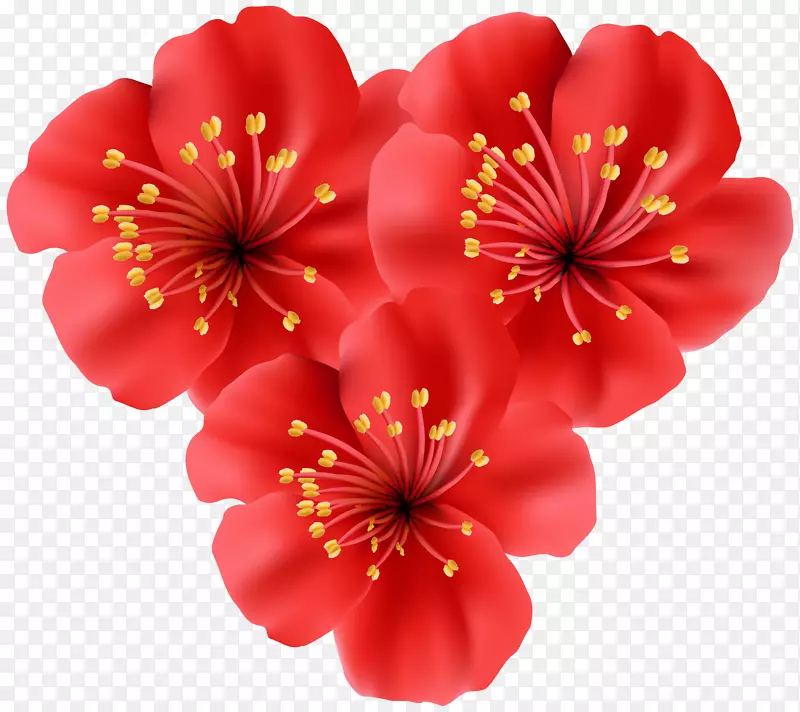 热带花卉格式剪贴画-热带花卉