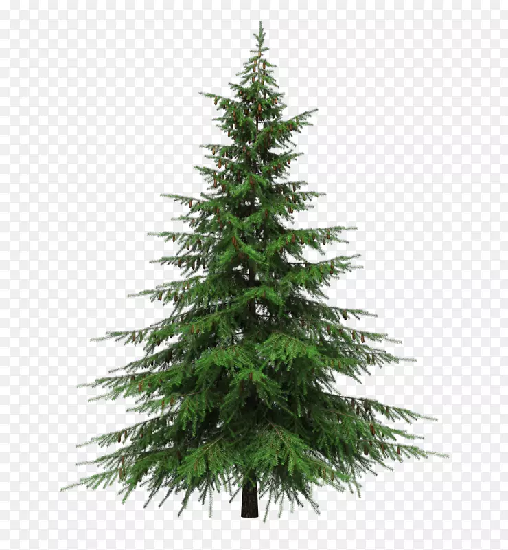 苦艾杉木人工圣诞树