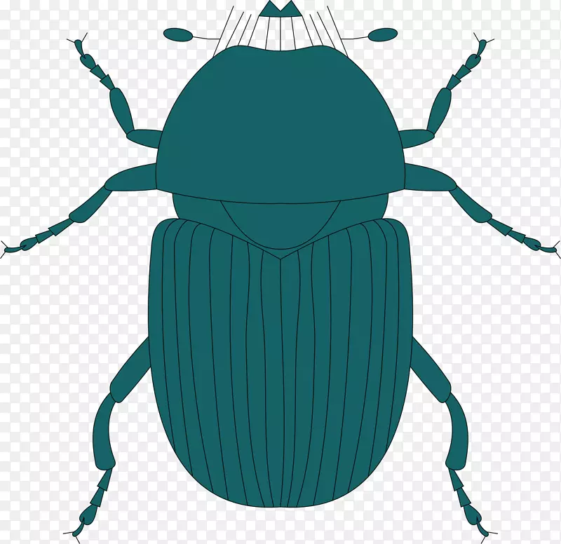 大众甲虫剪贴画-甲虫