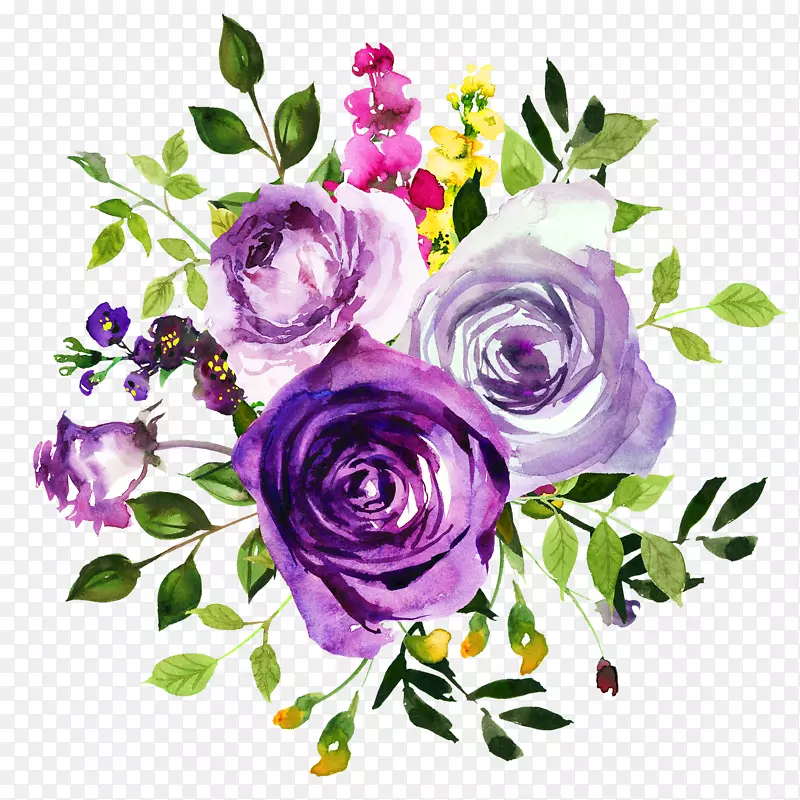 花紫水彩画紫罗兰剪贴画水彩画玫瑰