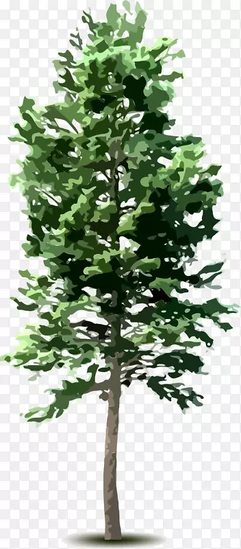 树木剪贴画-树顶
