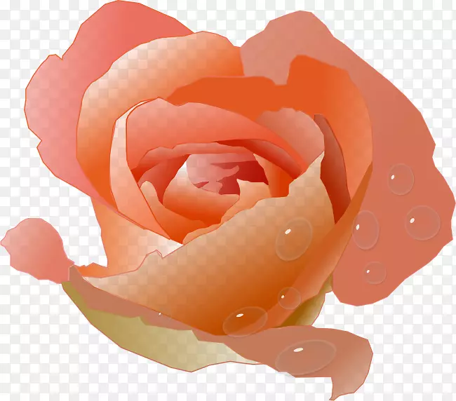 桃花玫瑰剪贴画-水彩画