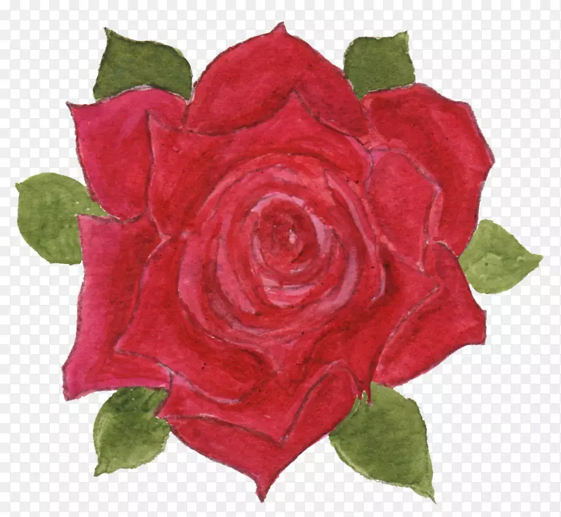 仙人掌玫瑰语言玫瑰花园花水彩画玫瑰
