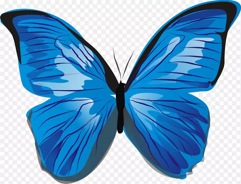蝴蝶电脑图标剪贴画-蓝色