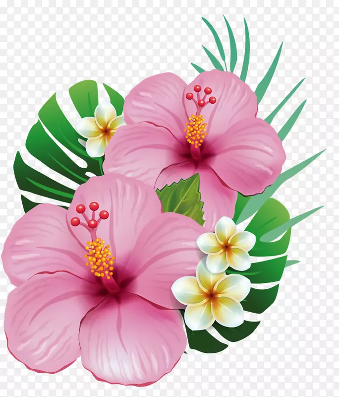 夏威夷木槿花夹艺术-热带