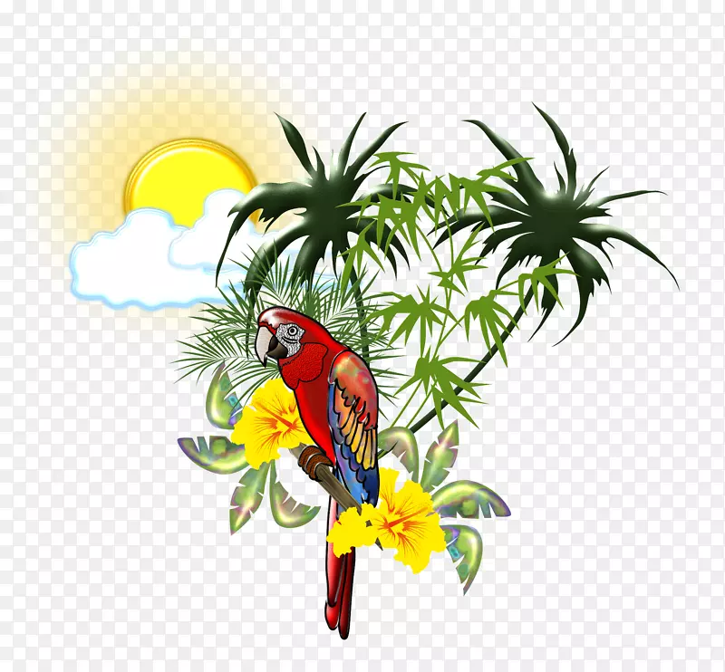 朱红金刚鹦鹉鸟-热带