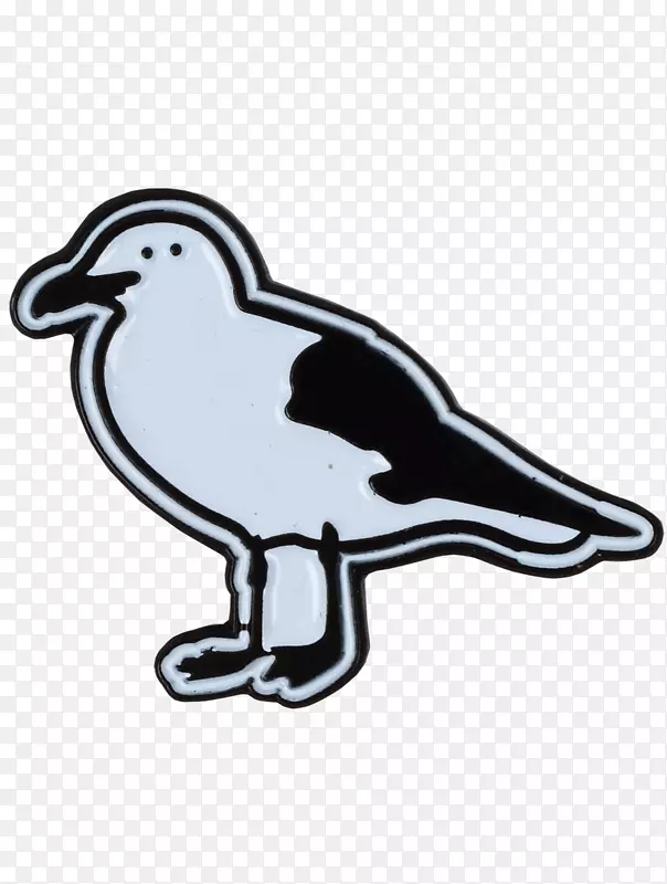 鸭水鸟，鹅，苏尼尼-海鸥