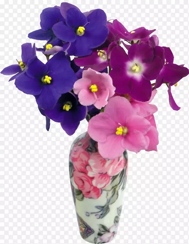 花紫罗兰叶粉红色花瓶