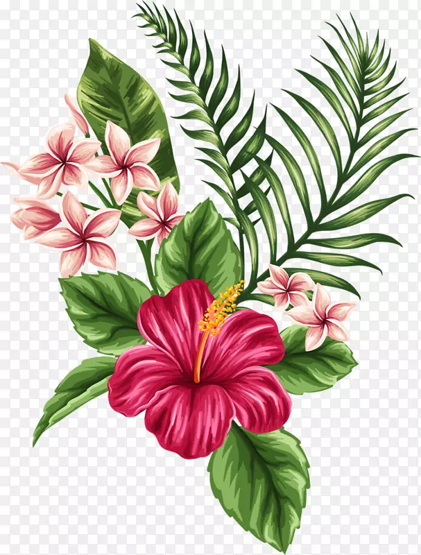 热带花卉绘画艺术-热带