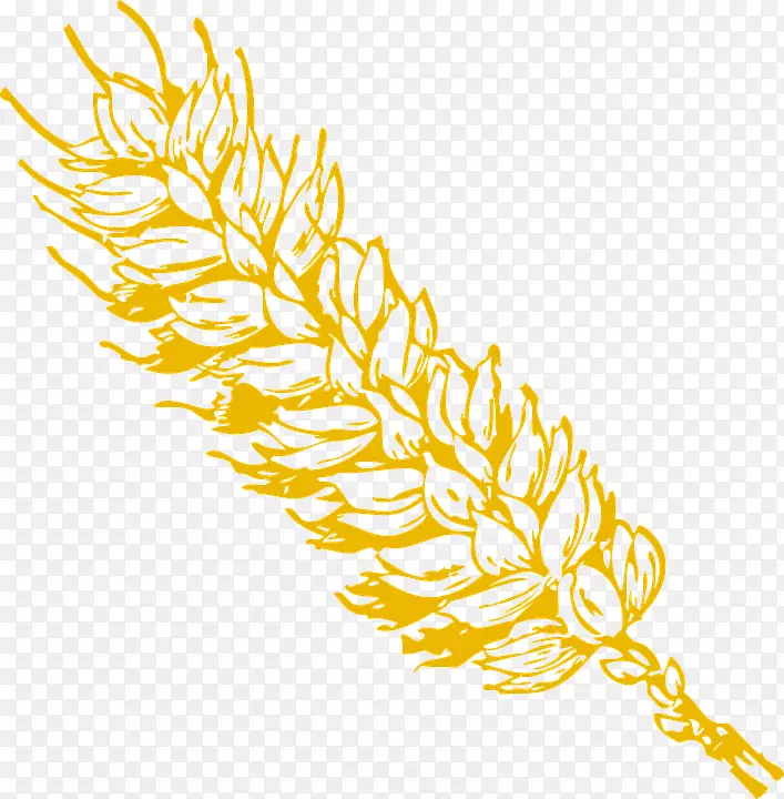 小麦粒剪贴画-小麦