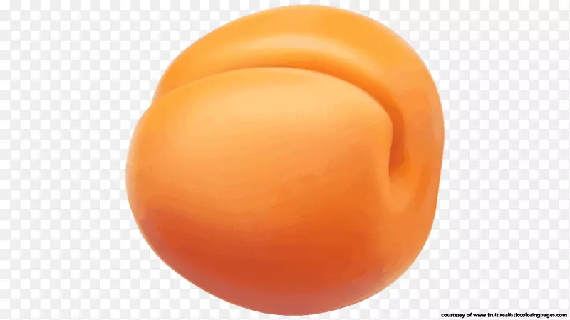 水果蛋糕杏片艺术-杏