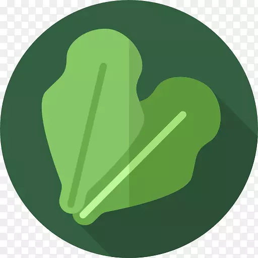 素食美食有机食品电脑图标生菜