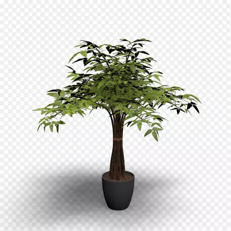 树表花盆植物-植物