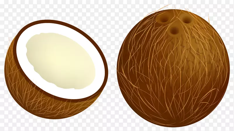 蛋椰子