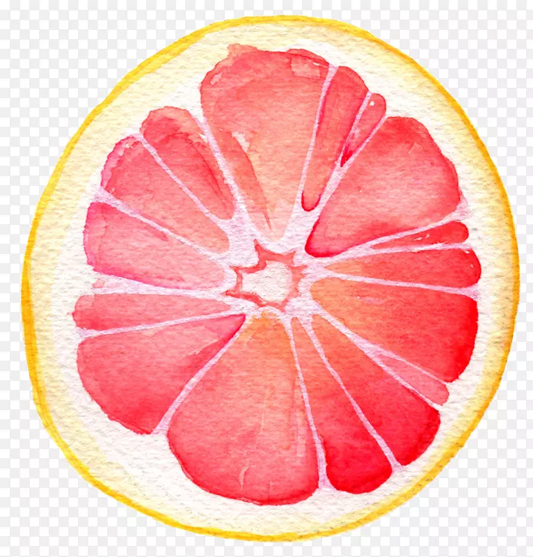 葡萄柚汁柚子柠檬水彩画-葡萄柚