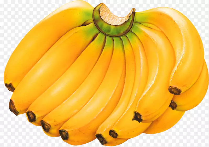 卡文迪什香蕉热带水果食品-香蕉