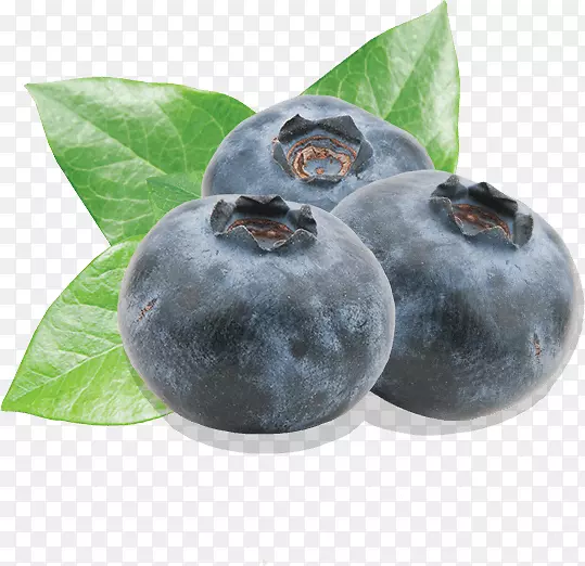蓝莓果实-蓝莓
