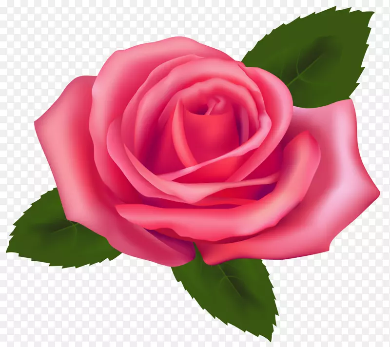 玫瑰粉色自由剪贴画