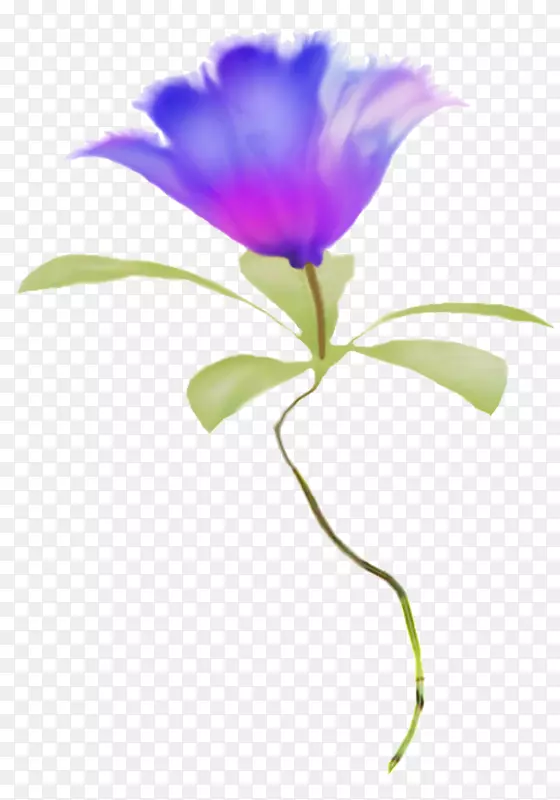 花卉花瓣植物茎剪艺术-蓝色花