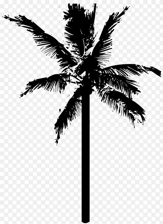 椰子树剪贴画-椰子树