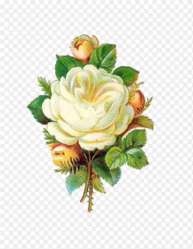 花束玫瑰古董剪贴画-白玫瑰