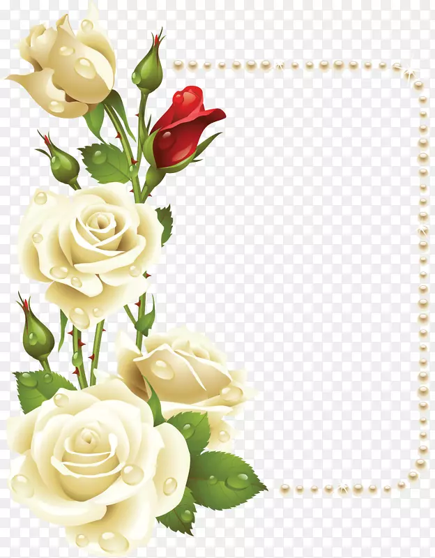 花边框玫瑰花画剪贴画白玫瑰