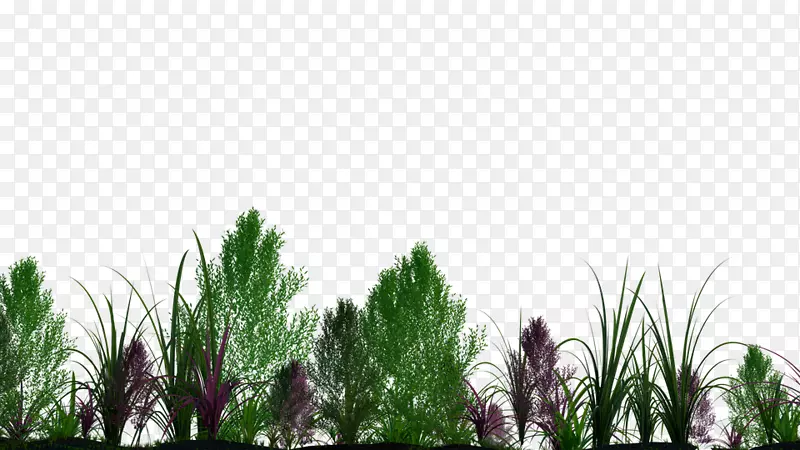 植物树-植物