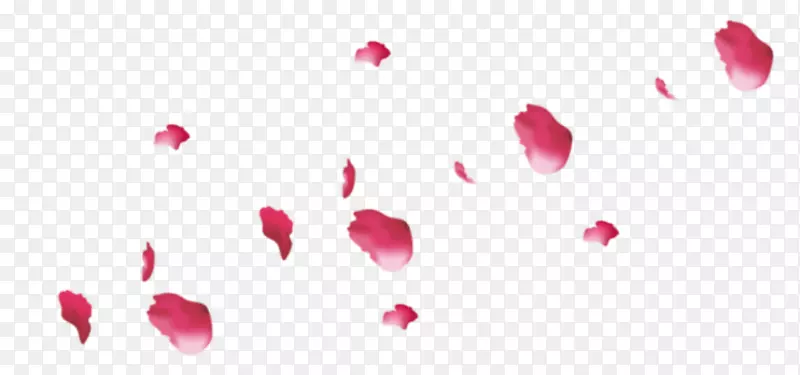花瓣花粉红色玫瑰花瓣