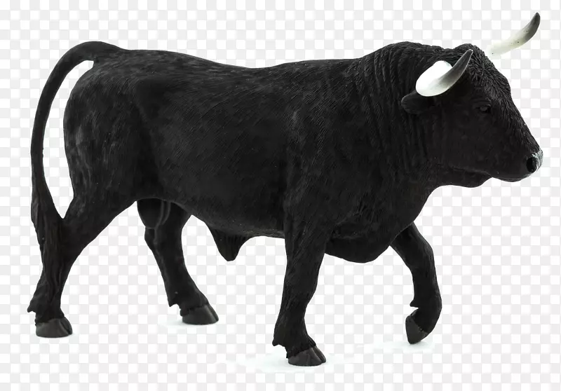 西班牙斗牛得克萨斯州长角牛泽西牛高地牛英国长角牛