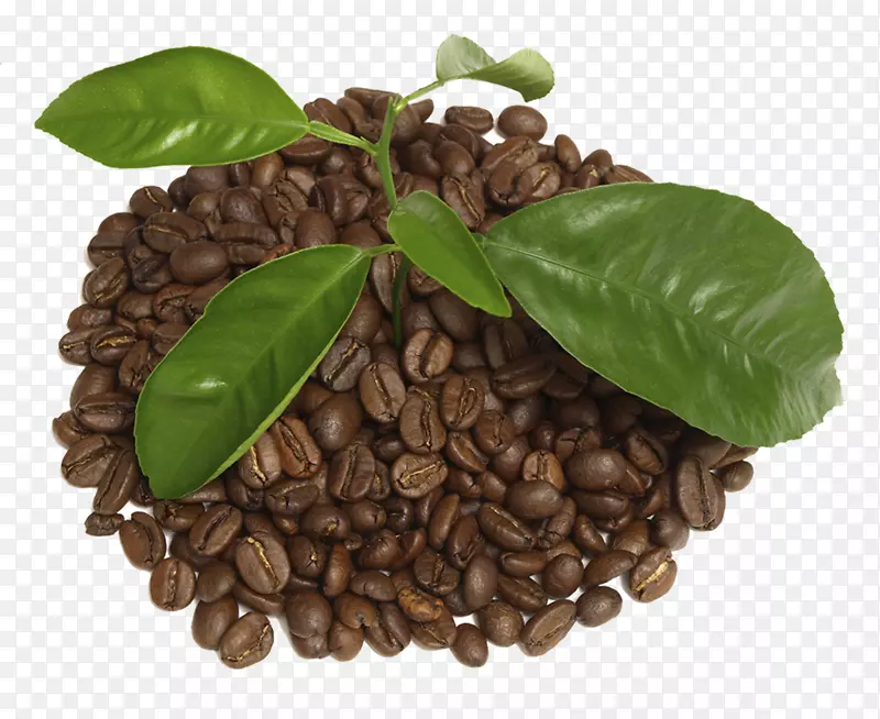 咖啡豆茶咖啡杯咖啡豆