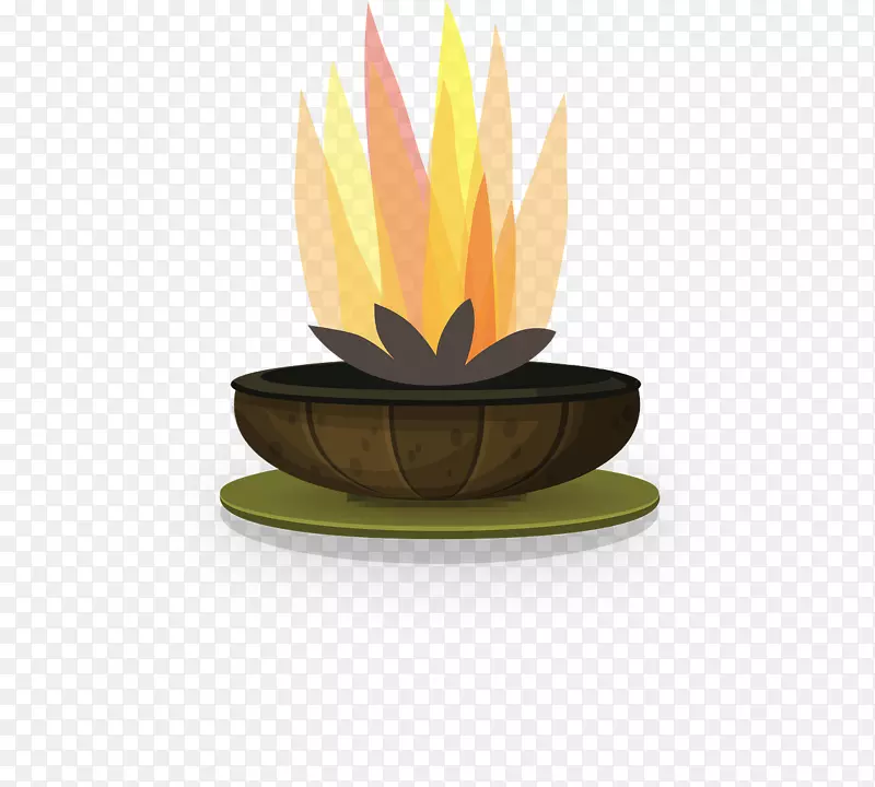 火坑花园火焰冷凝锅炉燃烧