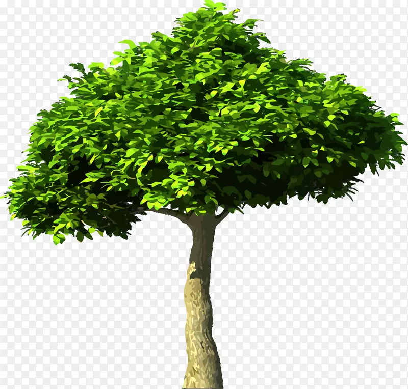 二氧化碳树全球变暖大气地球树
