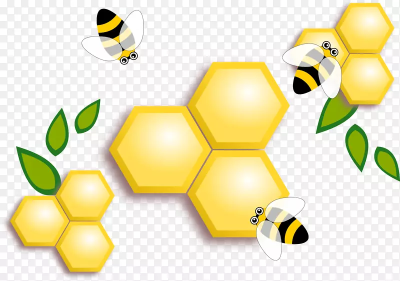哈塔迪拜蜜蜂-蜂蜜